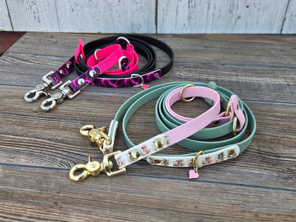 5:1 Leash