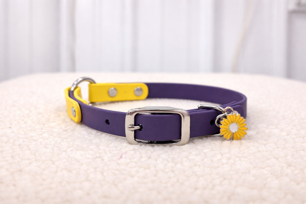 Essential Dog Collar