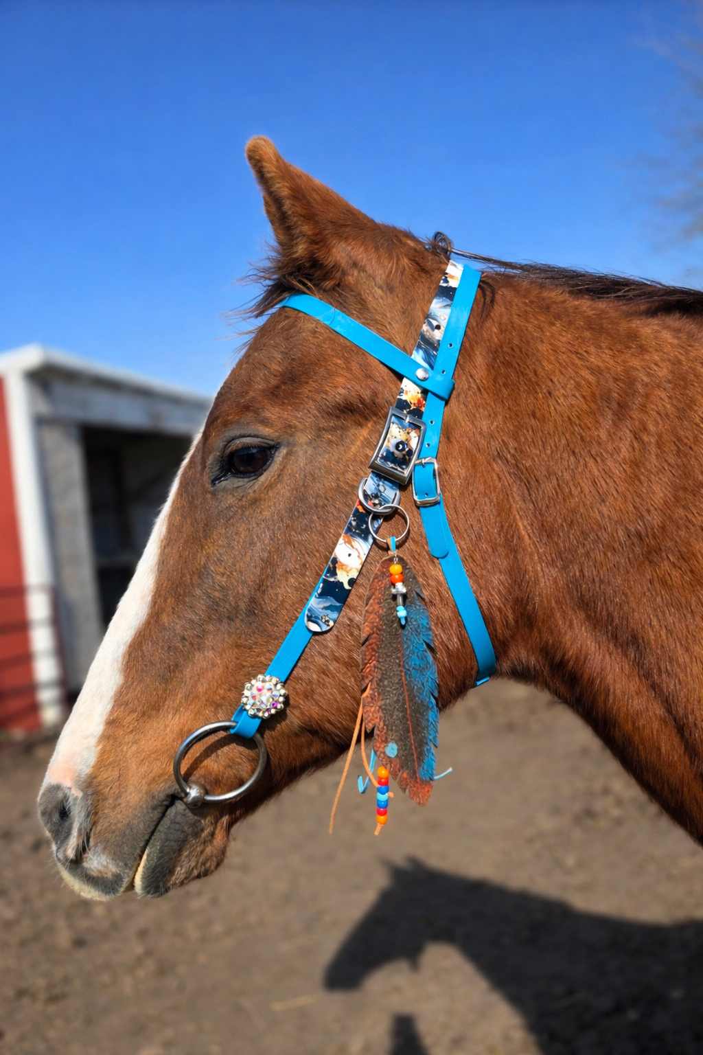 Bridle/Halter or Reins