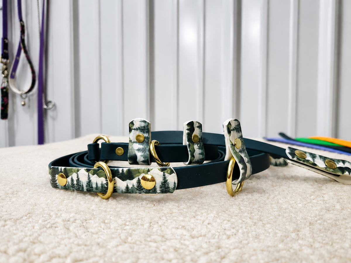 5:1 Leash