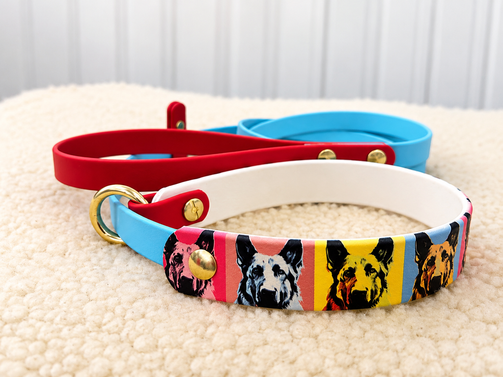 Slip Leash