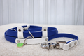 Slip Leash