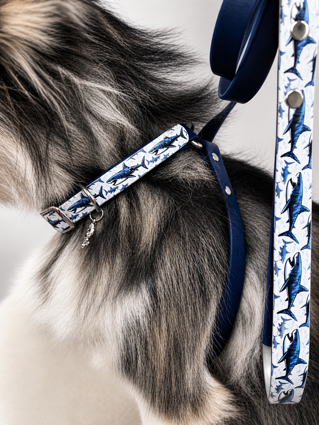 X Control Harness & Leash Combo