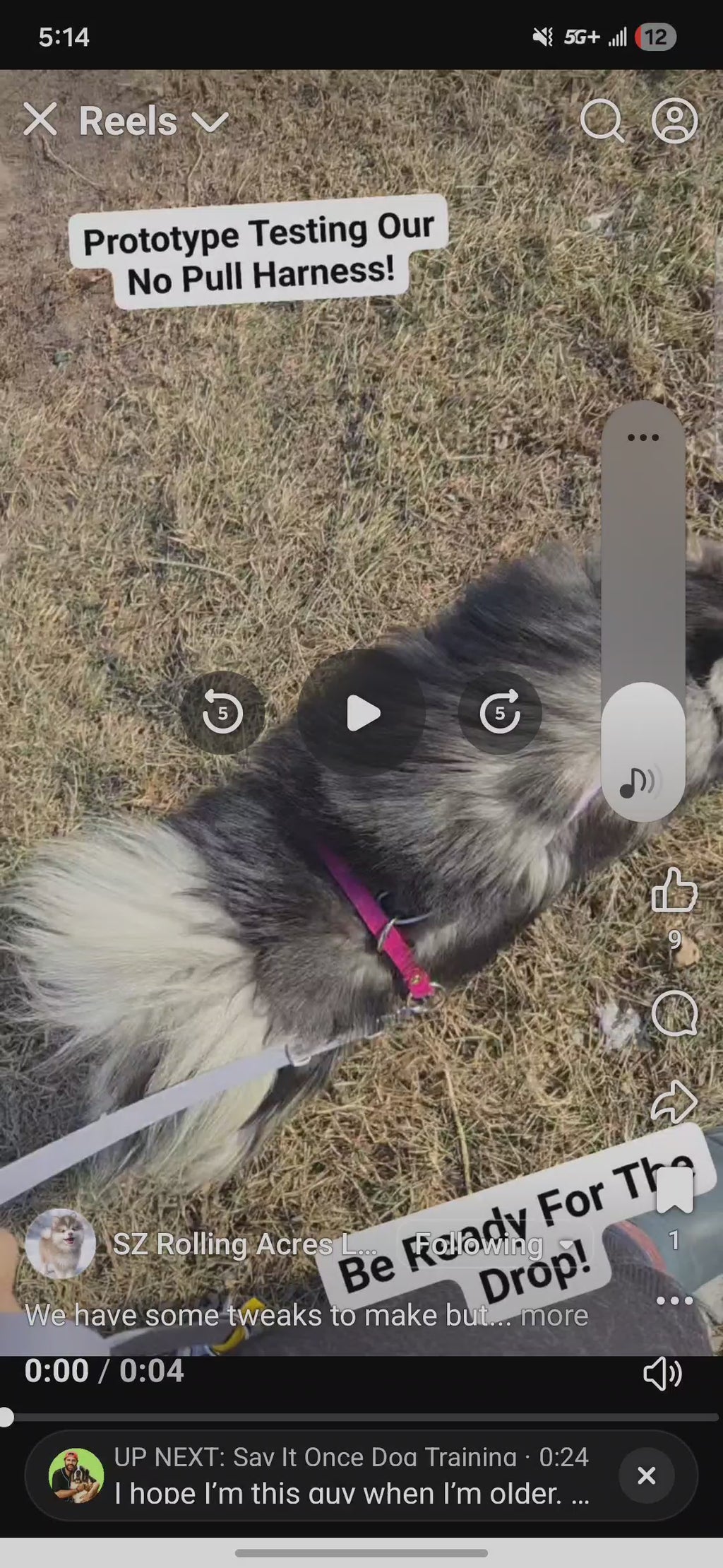 Genesis No-Pull Harness