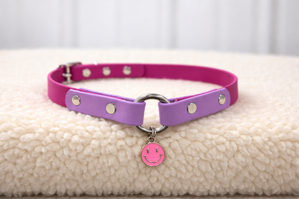 Essential Dog Collar