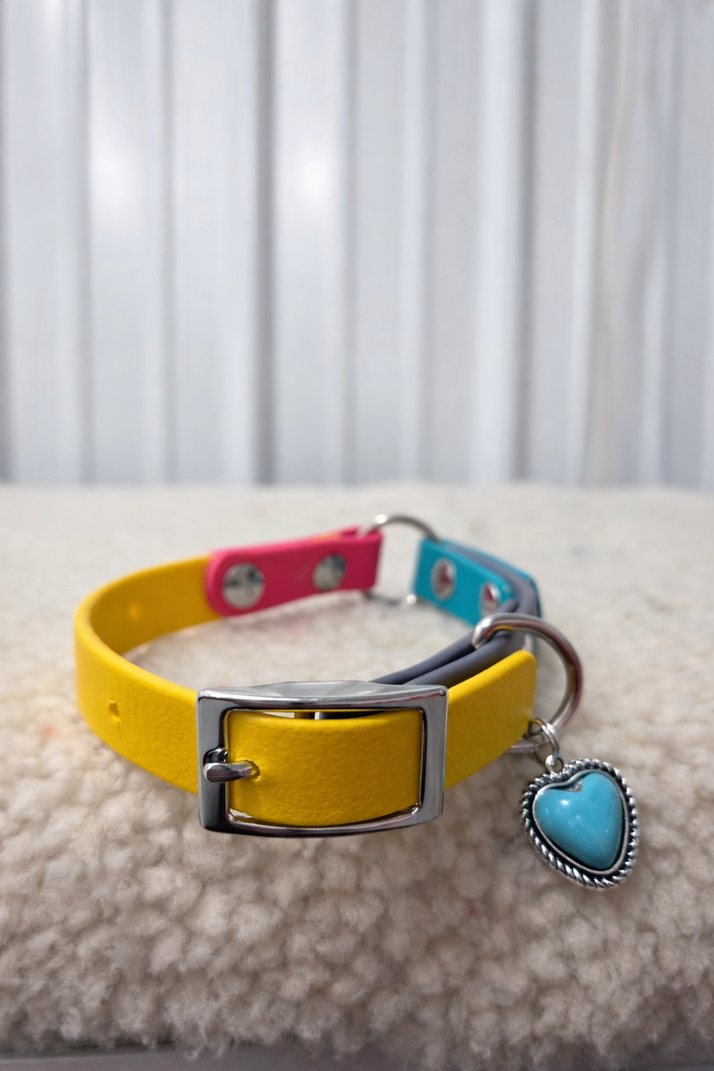 Essential Dog Collar