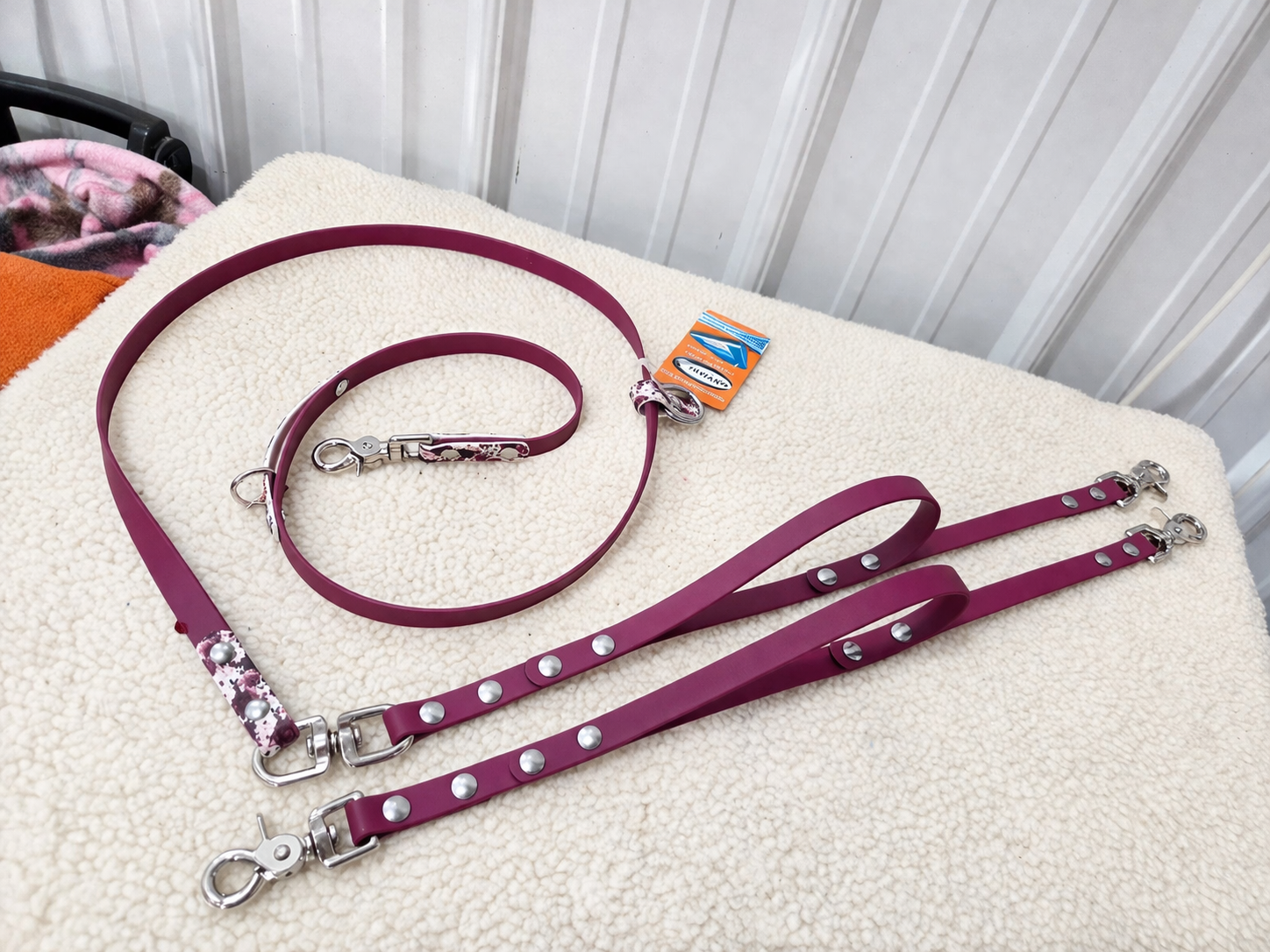 Anchor Leash System