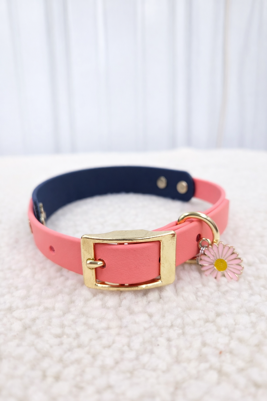 Essential Dog Collar