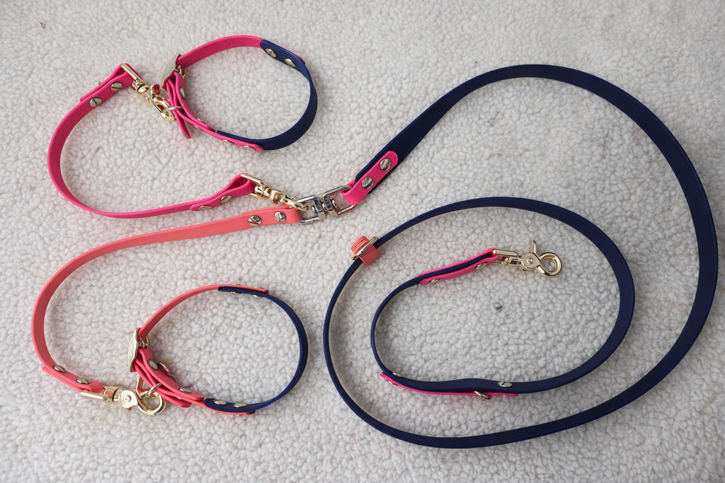 Anchor Leash System