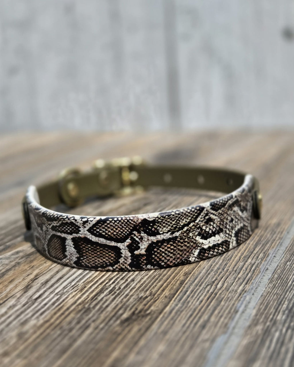 Snake & Snake Set & dual leash with swivel