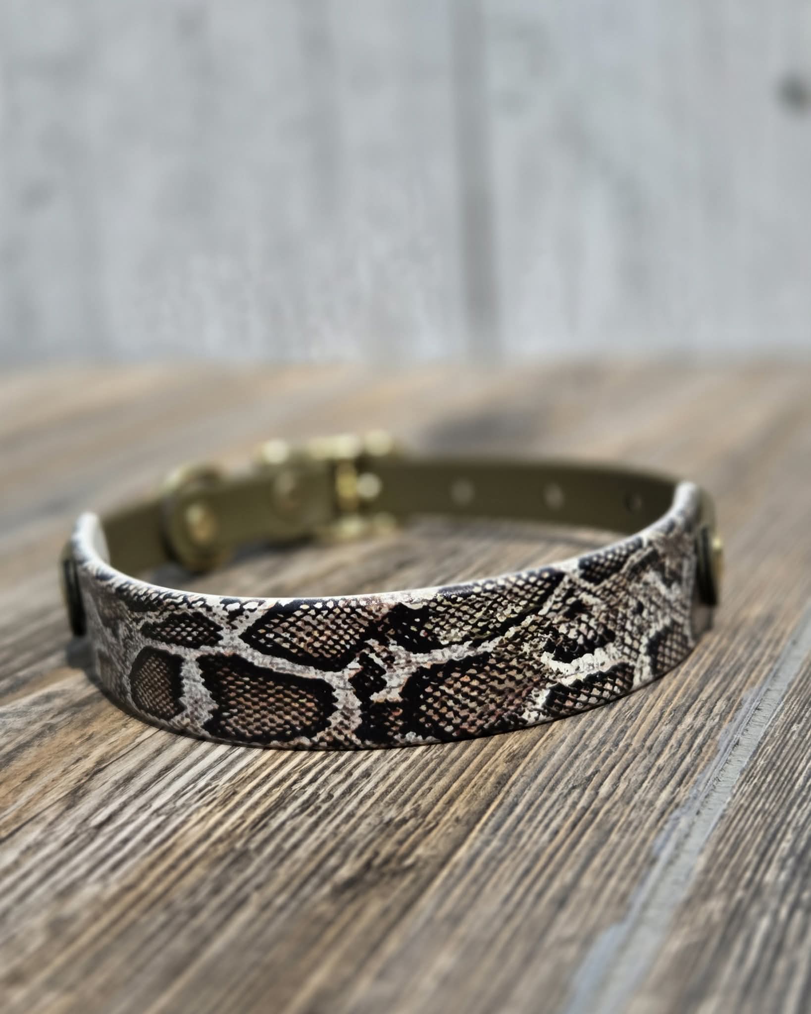 Snake & Snake Set & dual leash with swivel