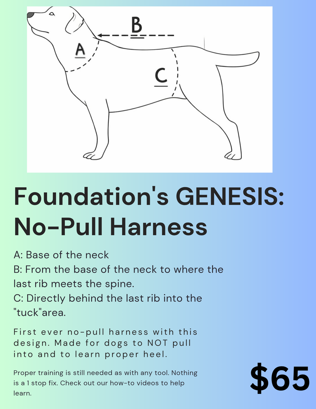 Genesis No-Pull Harness