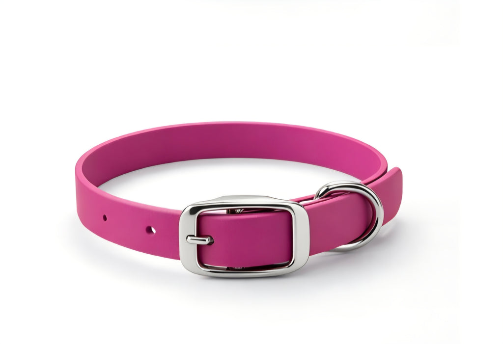 Essential Dog Collar