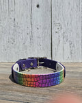 Rainbow Gator Print Collar