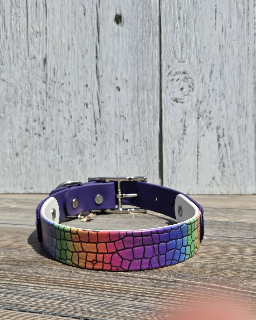 Rainbow Gator Print Collar