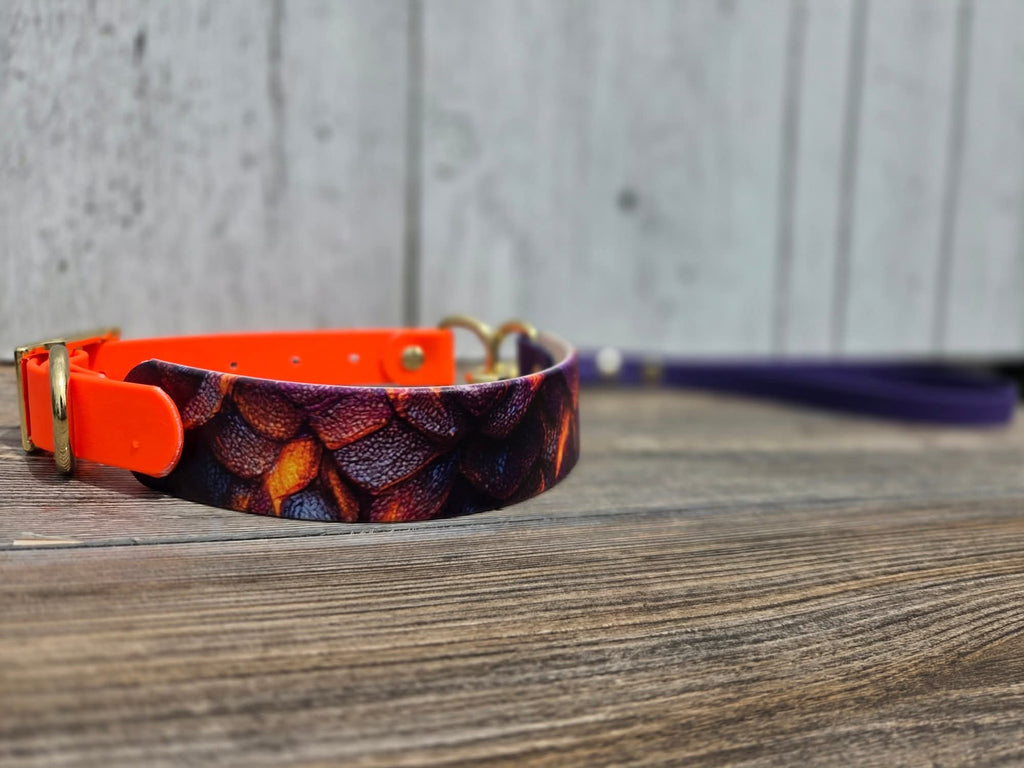 Dragon Scales, succulent, cactus & sage marble hf with 20 inch slip collar