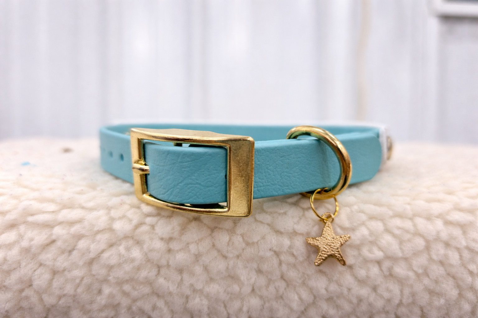 Essential Dog Collar