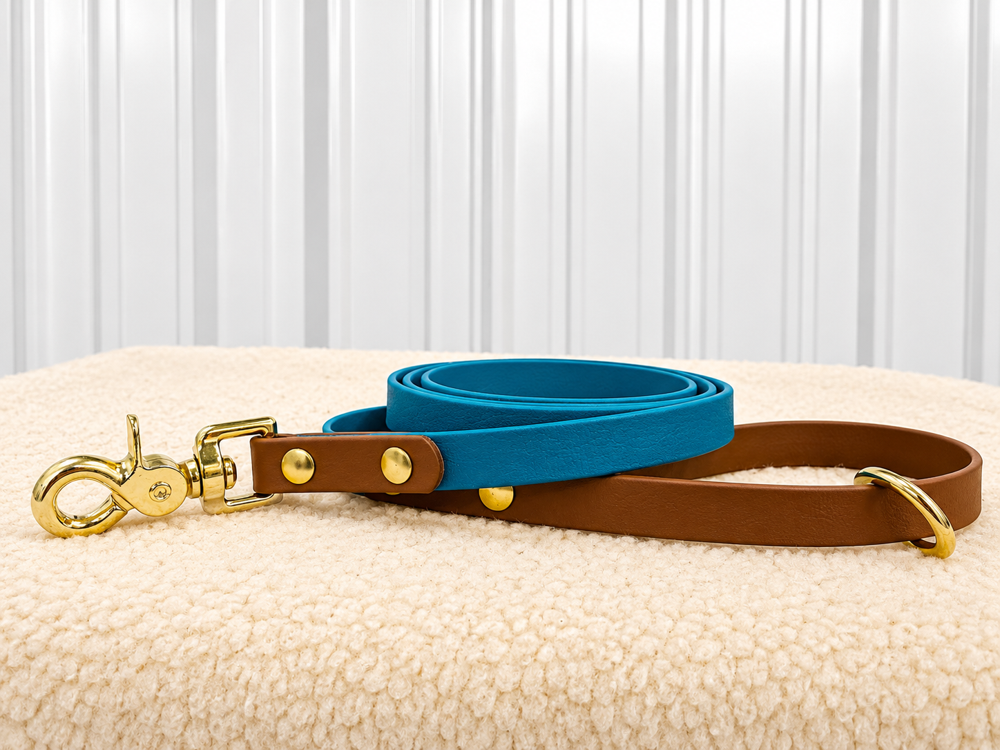Every Day Leash
