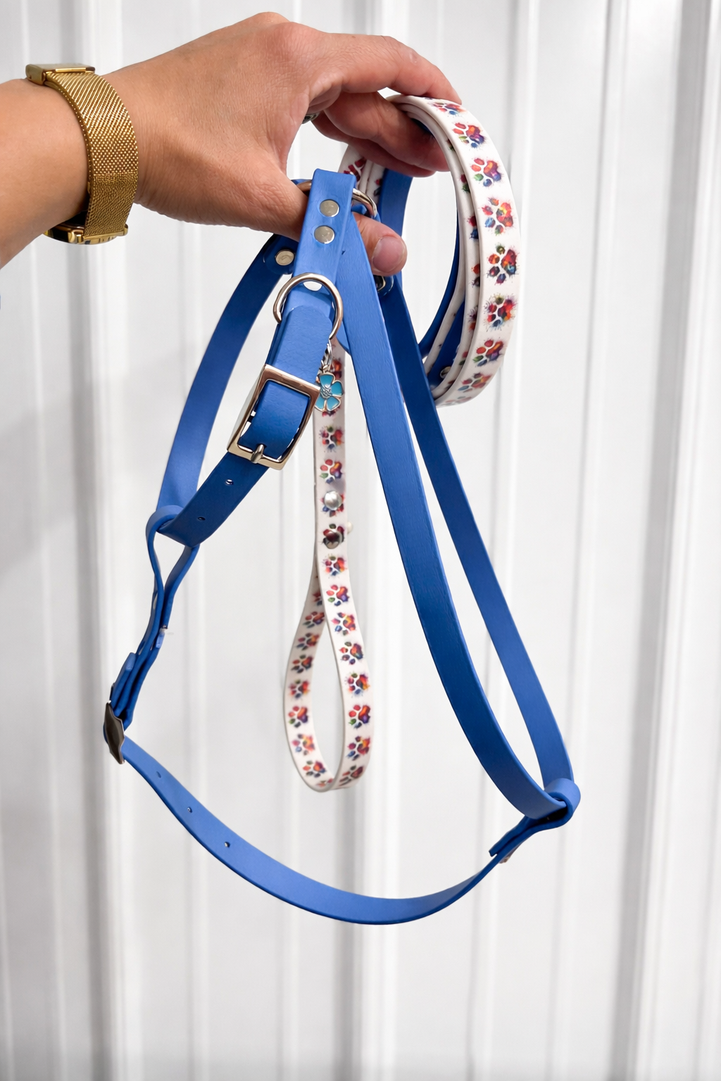 X Control Harness & Leash Combo