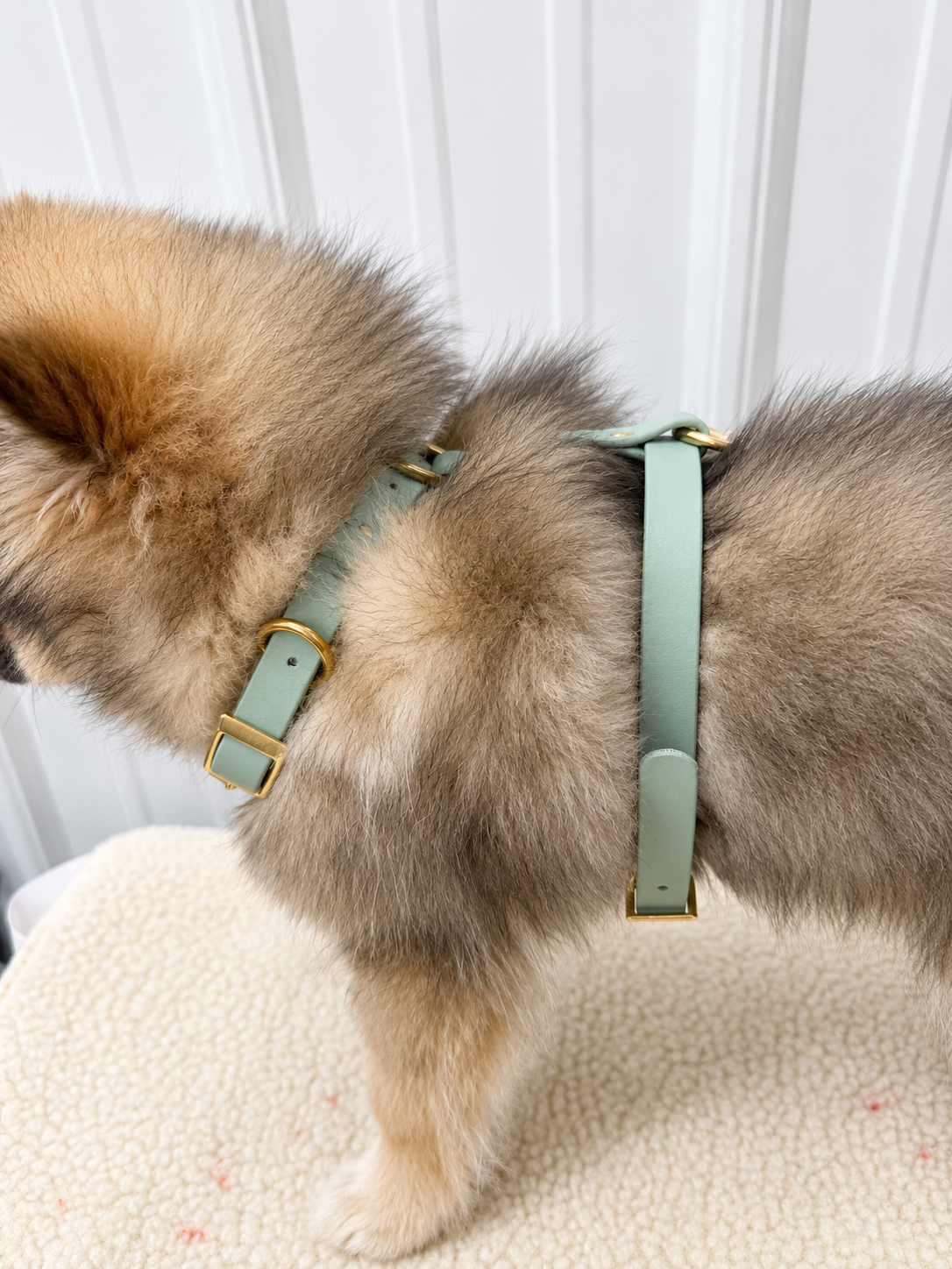 Basic & Infinity Harness