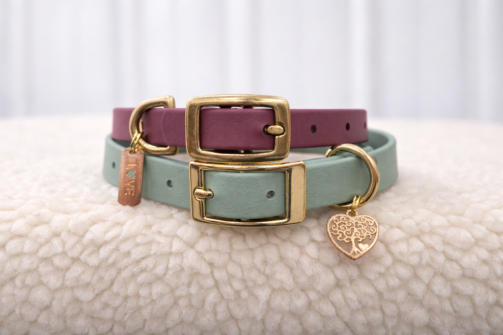 Essential Dog Collar