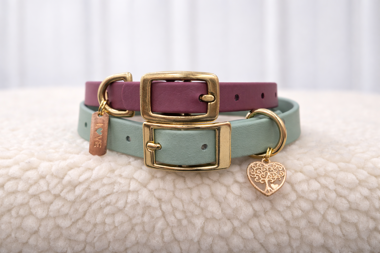Essential Dog Collar