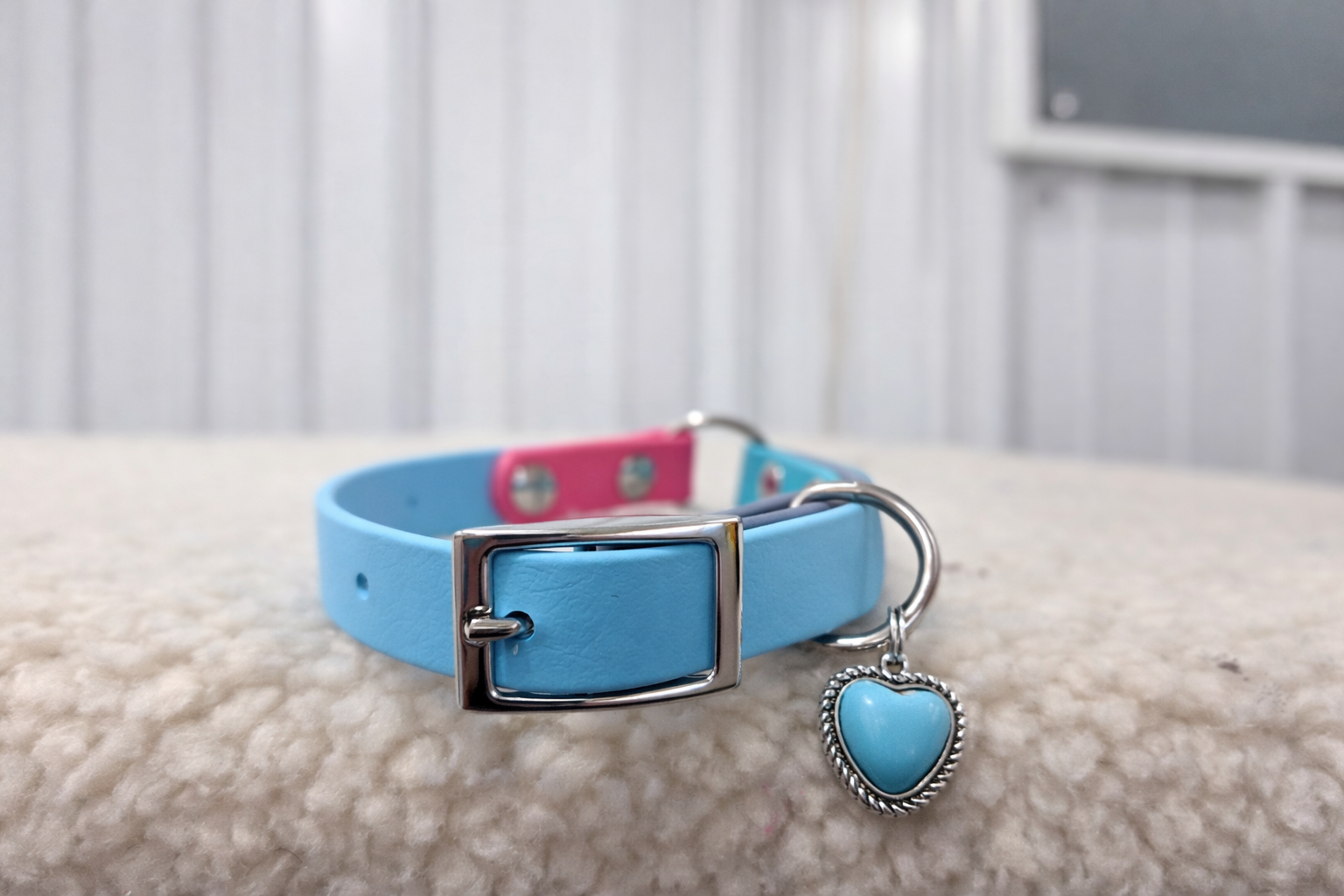 Essential Dog Collar