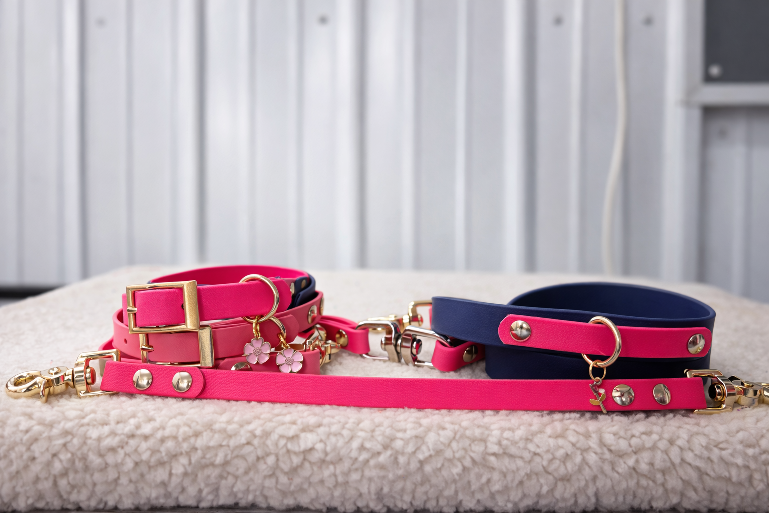 Anchor Leash System