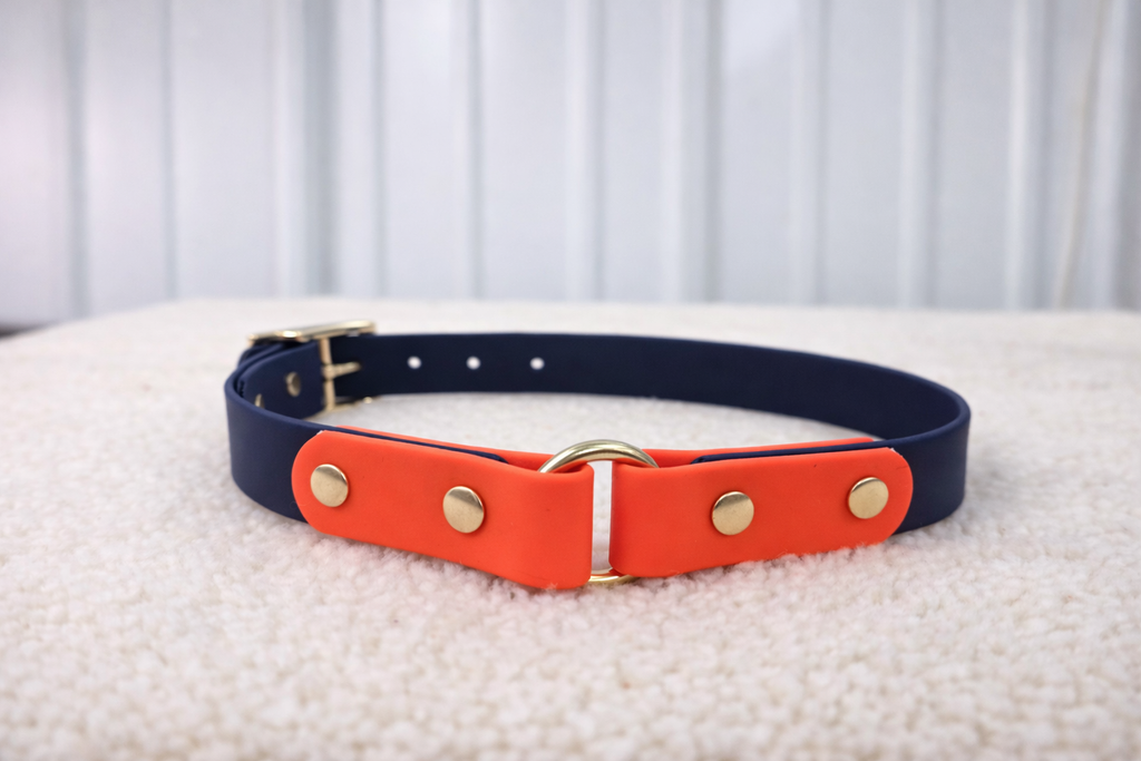 Essential Dog Collar