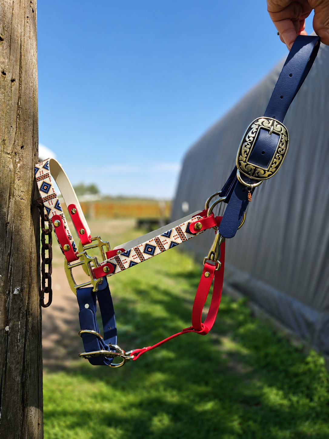 Halter, Bridle or Reins