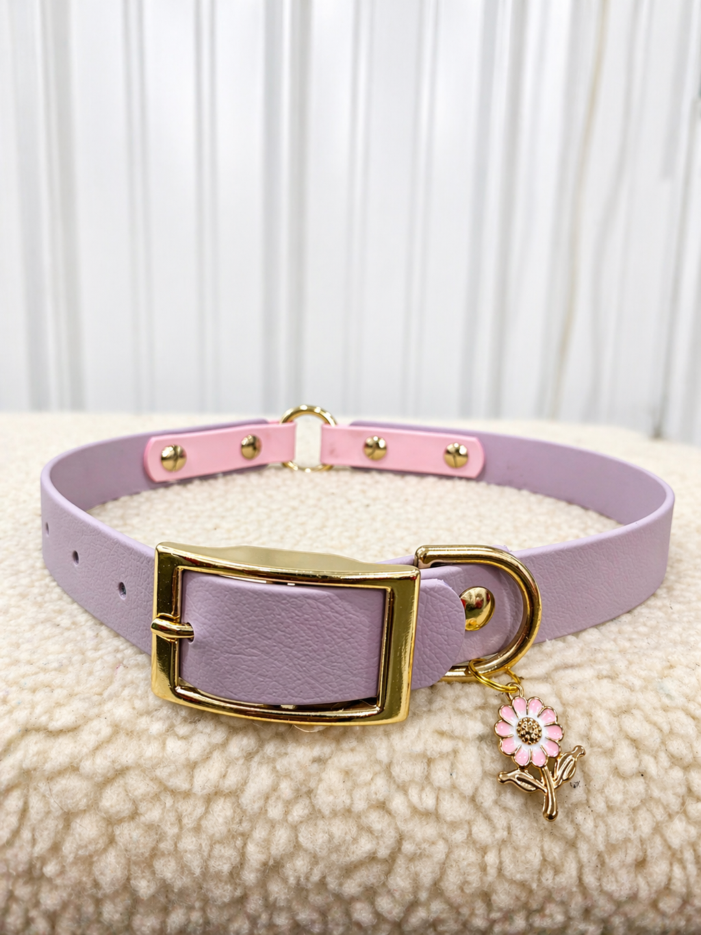Essential Dog Collar