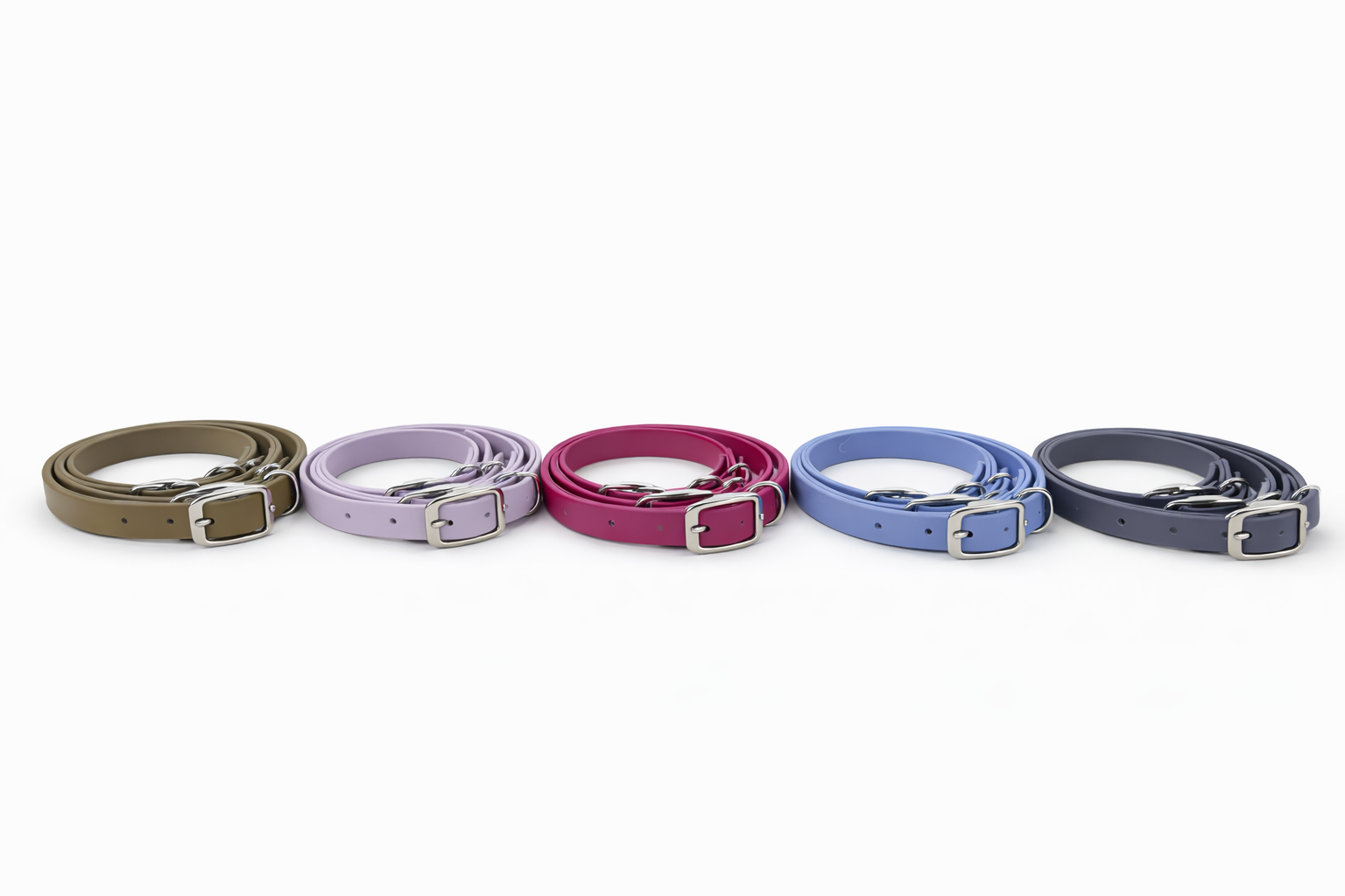 Essential Dog Collar