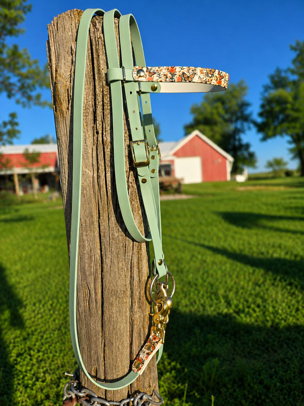 Halter, Bridle or Reins