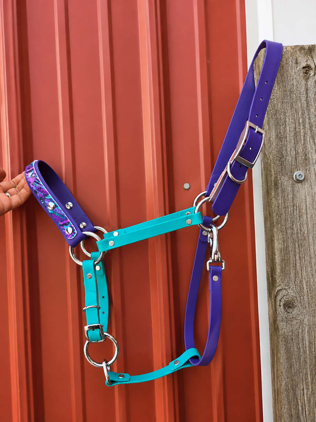 Halter, Bridle or Reins