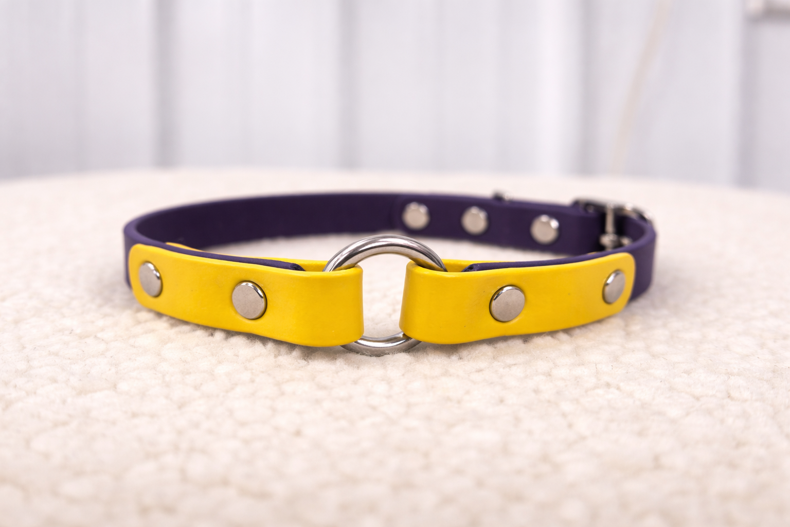 Essential Dog Collar