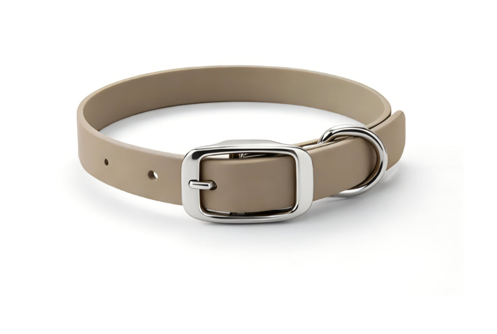 Essential Dog Collar
