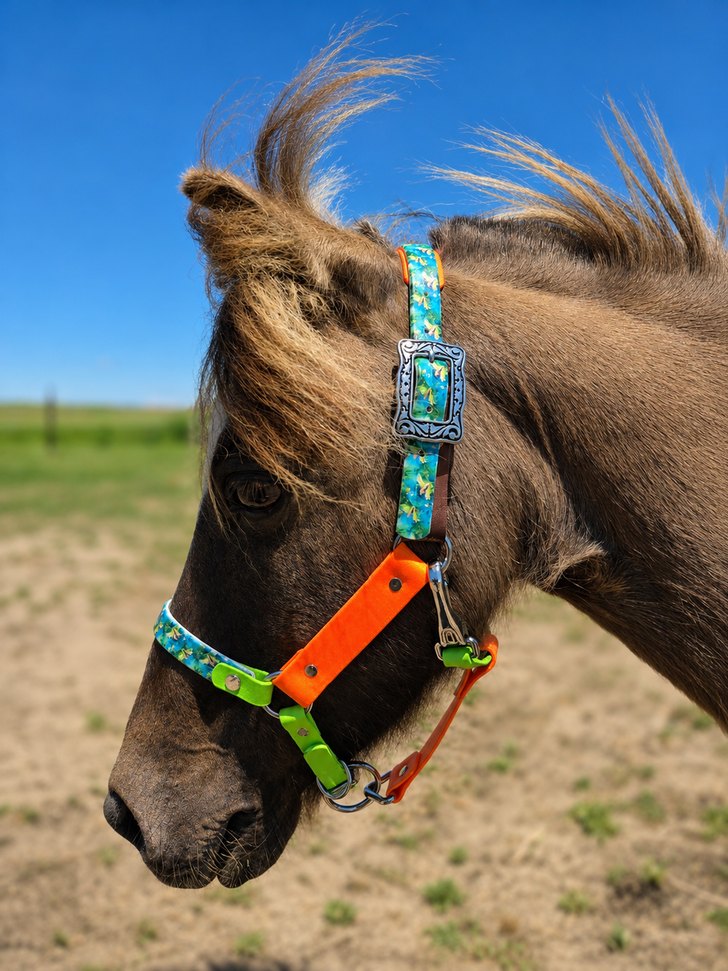 Halter, Bridle or Reins