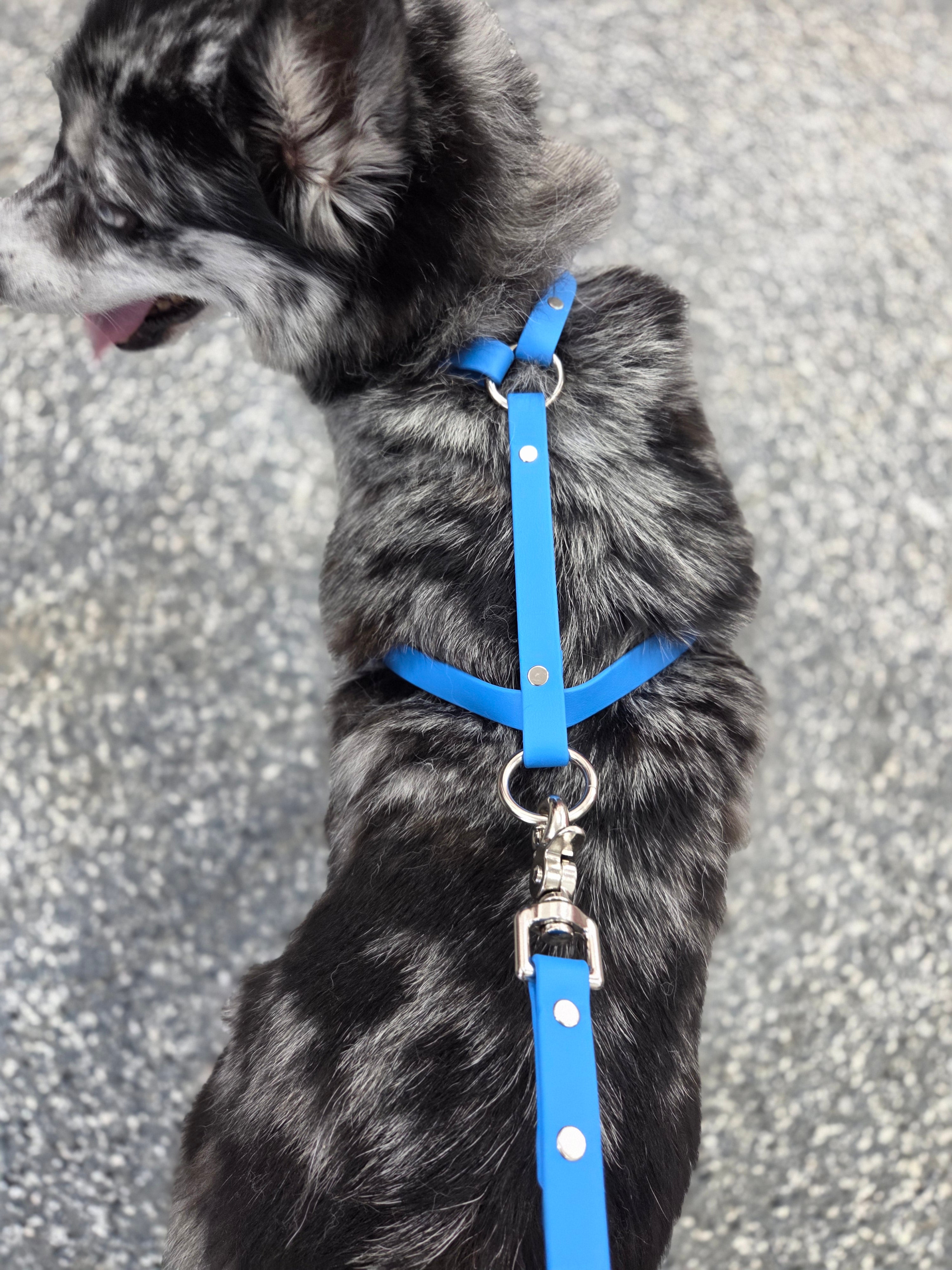 Basic & Infinity Harness