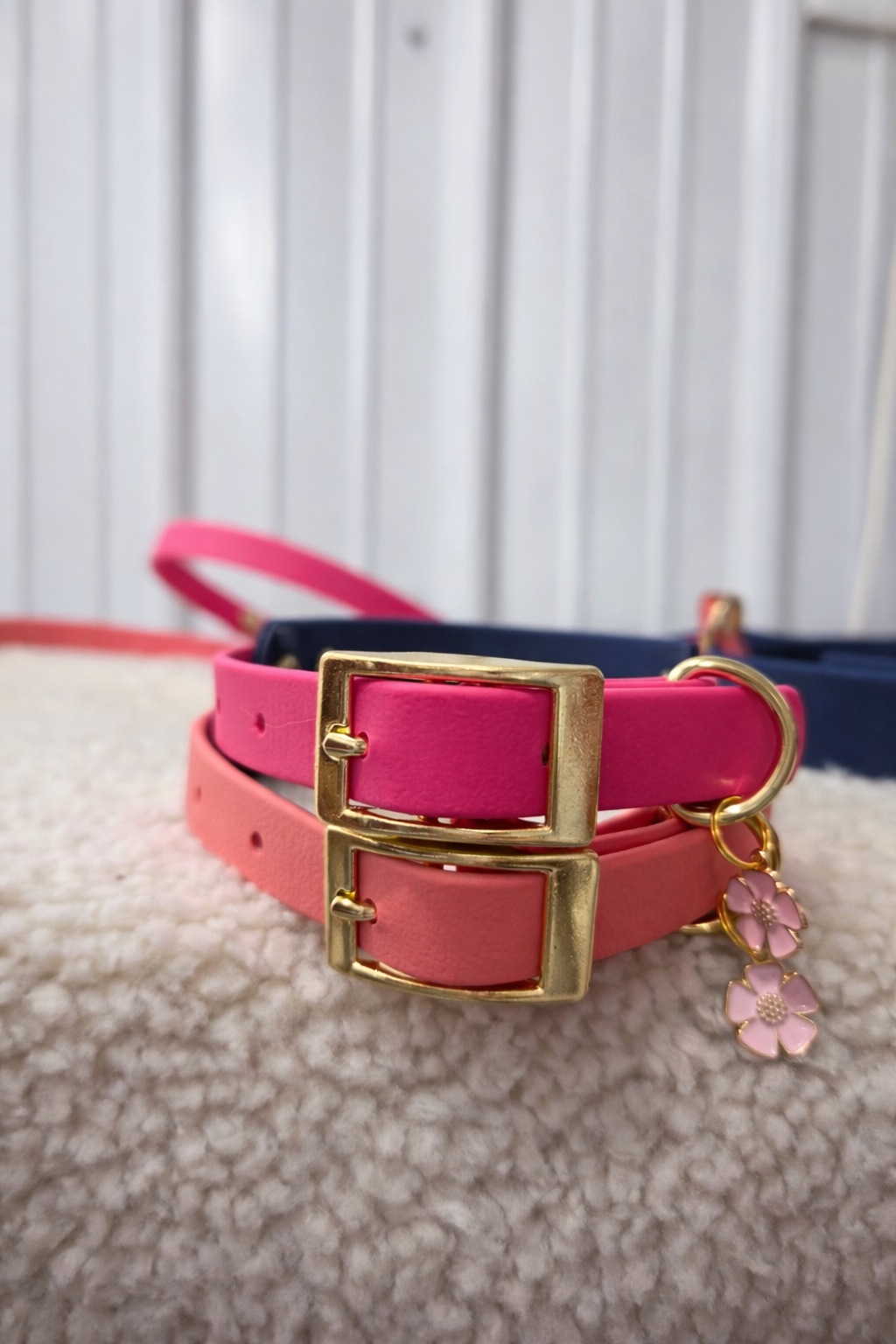 Essential Dog Collar