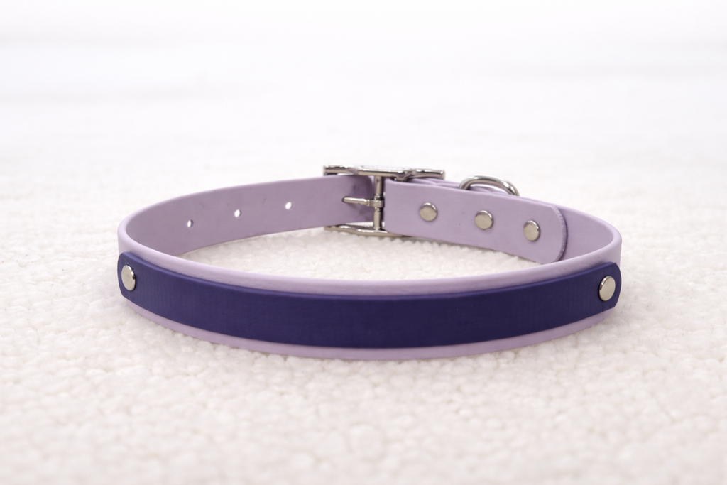 Essential Dog Collar