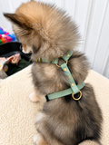 Basic & Infinity Harness