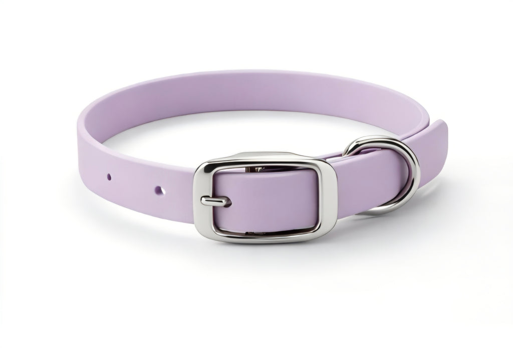 Essential Dog Collar