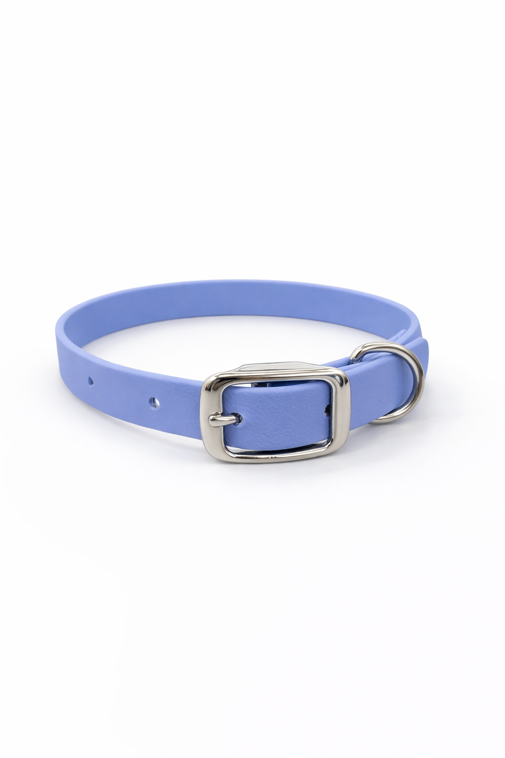 Essential Dog Collar