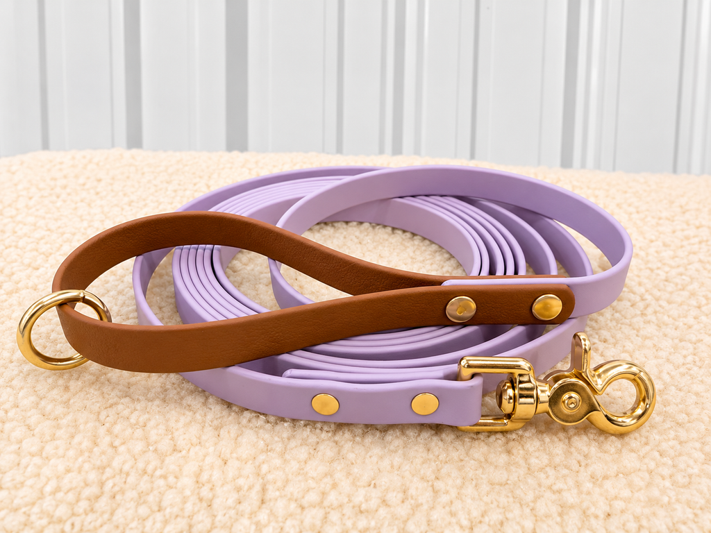 Every Day Leash