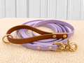 Every Day Leash