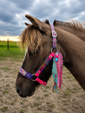 Halter, Bridle or Reins