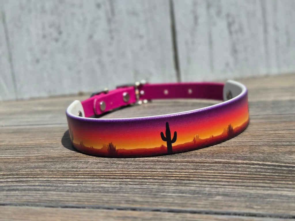 Dragon Scales, succulent, cactus & sage marble hf with 20 inch slip collar