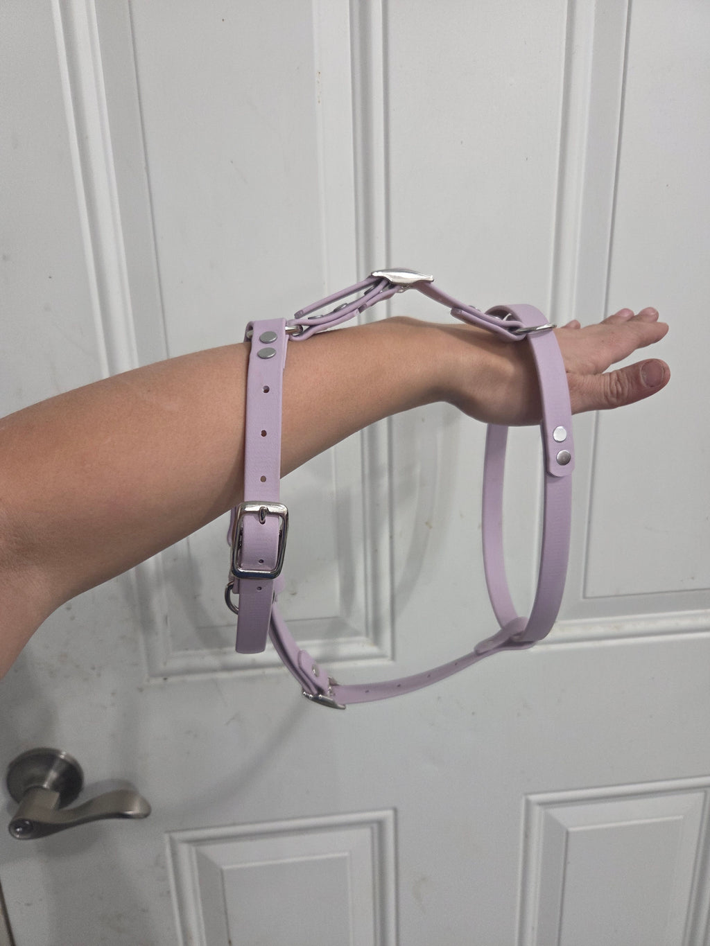 Genesis No-Pull Harness