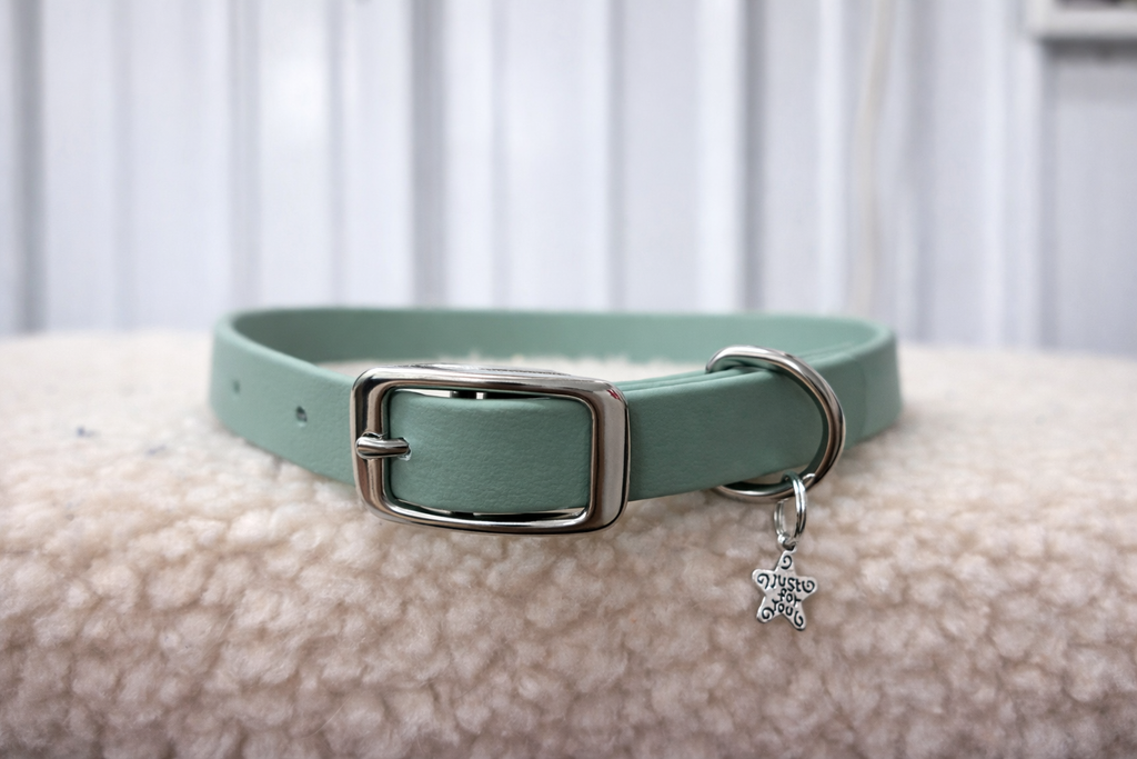 Essential Dog Collar