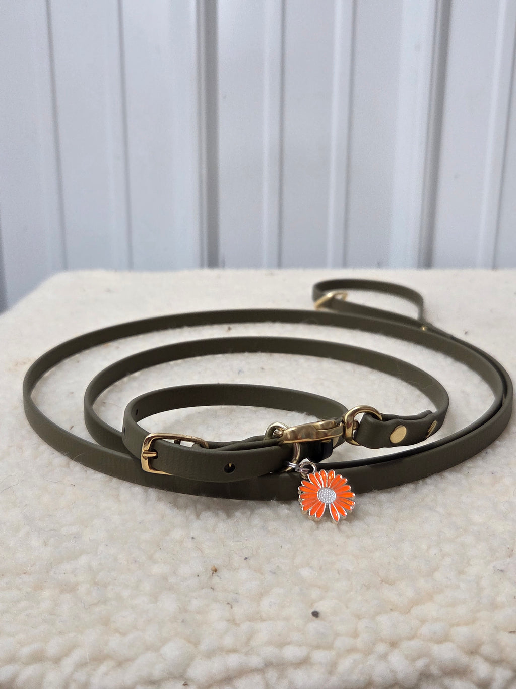 First Leash